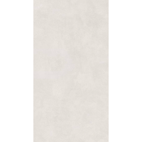 Керамогранит Lasselsberger Иней 6493-0137 60*120 светло-серый